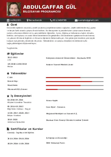 Bilgisayar Programcısı CV Örnekleri cv indir